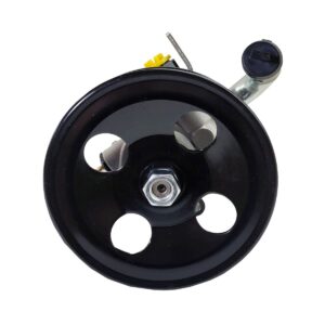 Bomba de Direção Hidráulica para Kia Carens 2.0 - 2008 até 2013