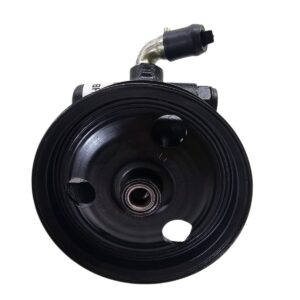 Bomba de Direção Hidráulica para Ford Ecosport 1.6 – 2002 em diante / Novo Fiesta 1.0 – 2003 em diante / Amazon - DHB